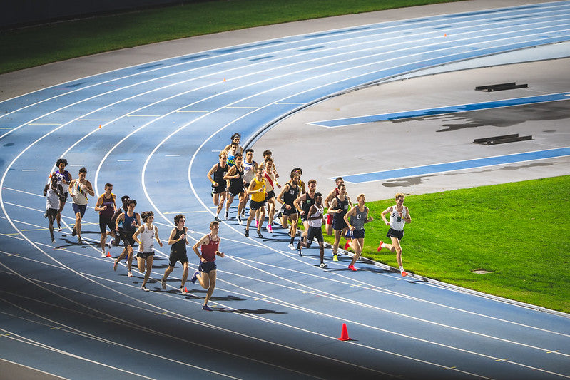 Understanding Endurance through the Lens of Muscle Fiber